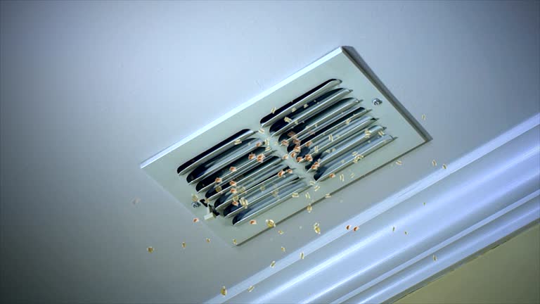 Best Best Air Duct Cleaning Company  in Clemson University, SC