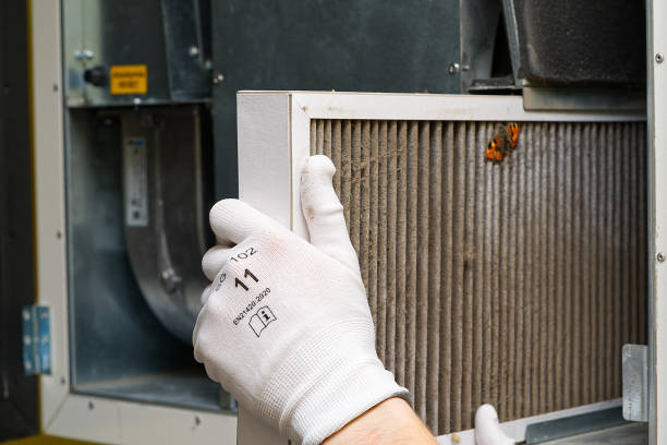 Best Ductwork Cleaning Services  in Clemson University, SC